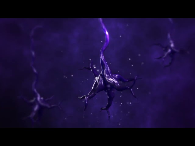 Animated Shot #3 - 3D Neuron Model