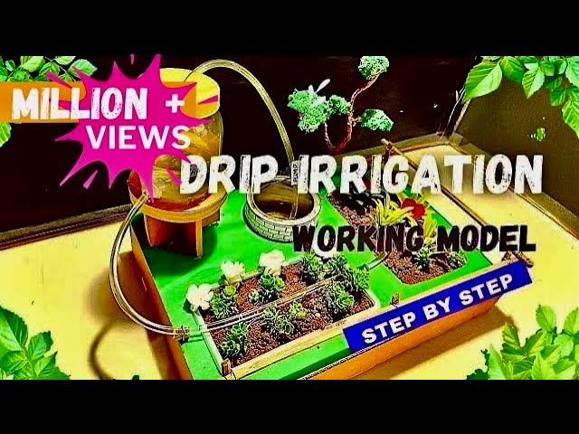 Drip irrigation working model for school #dripirrigation educational videos #agriculture