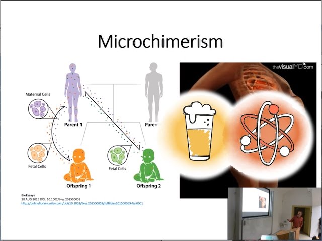 Humanized animal models. Spare parts from the butcher's. [The Pint of Science in Prague]
