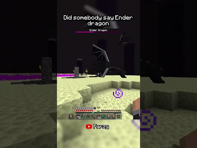 2 ender dragons