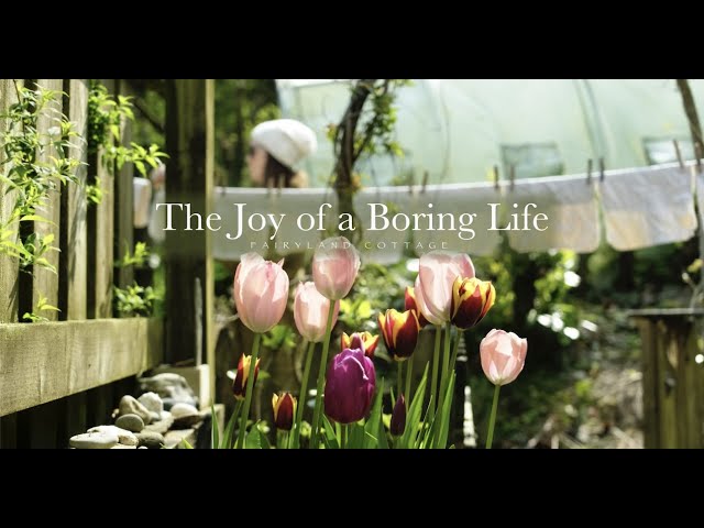 The Joy of a 'Boring' Life - April at Fairyland