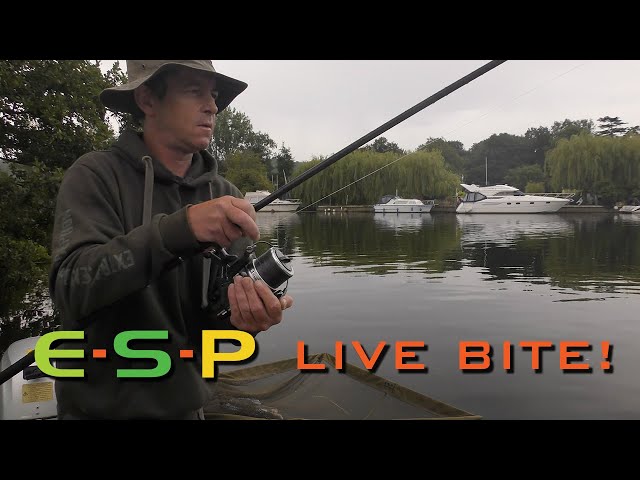 Live bite and a NEAR MISS | Terry Hearn Cam
