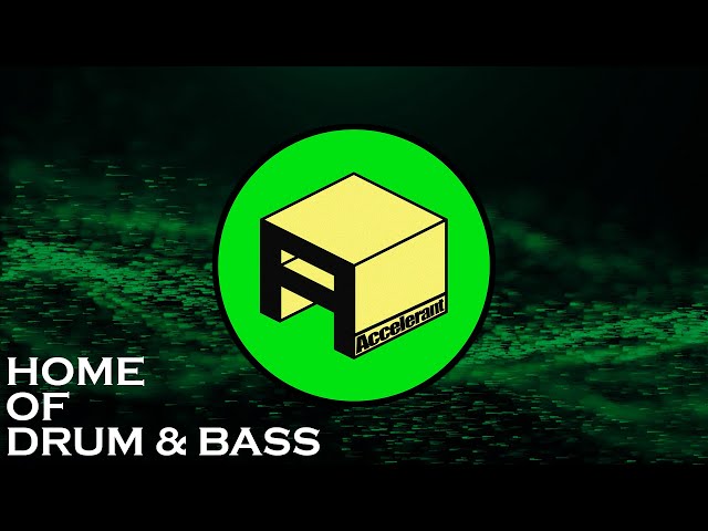 Chase & Status - Program Ft. Irah