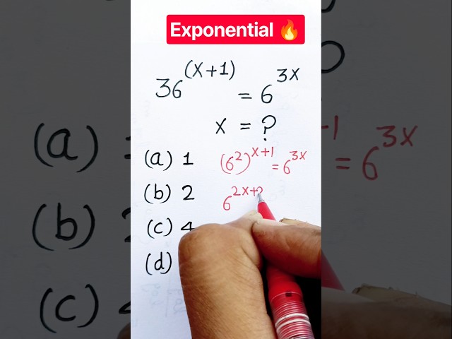 Exponential 🔥