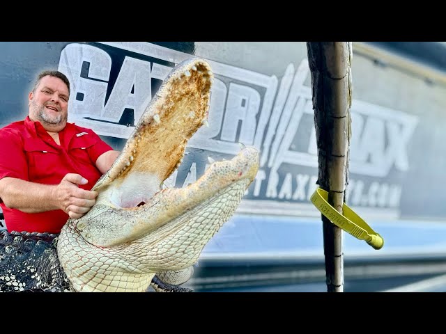 Chasing SWAMP MONSTERS On PUBLIC LAND!