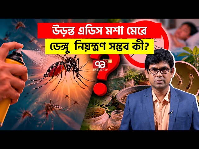 কেন নিয়ন্ত্রণে নেই ডেঙ্গু! | Explainer | Aedes Mosquito | Dengue | Ekattor TV