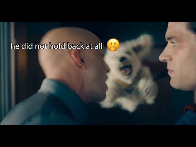 Krypto being ALL BITE no bark