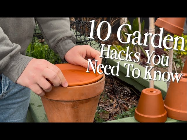 10 FREE Gardening Hacks You’ll Wish You Knew Sooner! 🌱🤯|| Visit Our Garden
