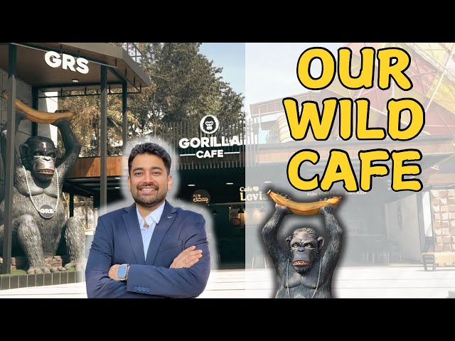 From Jungle King to Café King ! Epic Gorilla Transformation ! Ashwin Dange #ashwindange