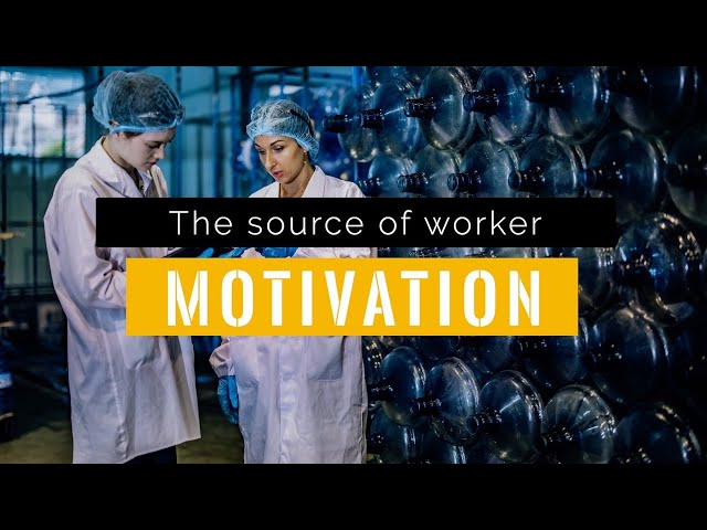 Why Do Your Workers Bother To Show Up?