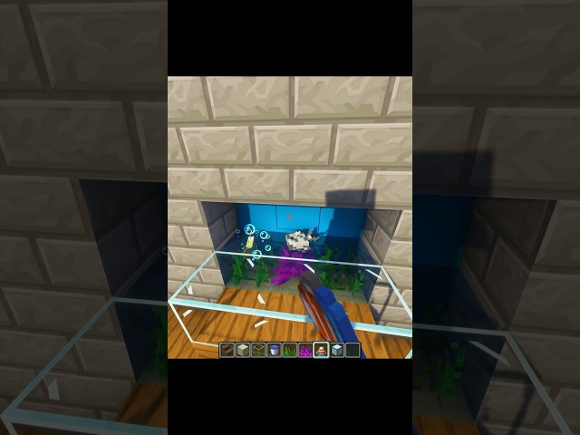 Minecraft Mini Fish Tank