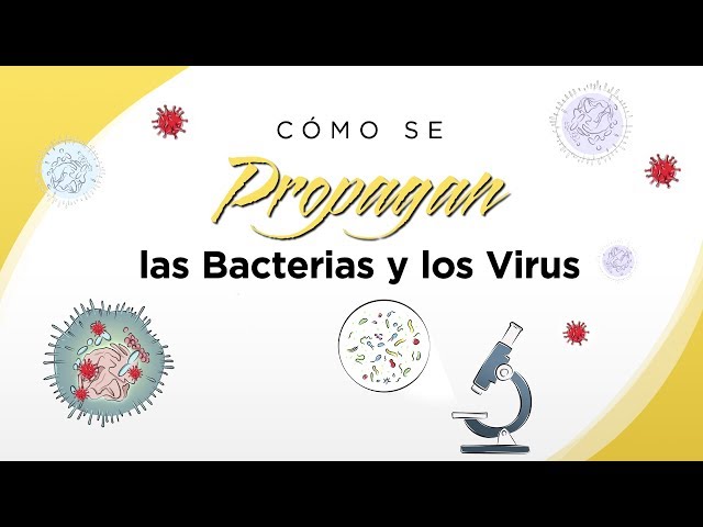 How Bacteria and Viruses Spread