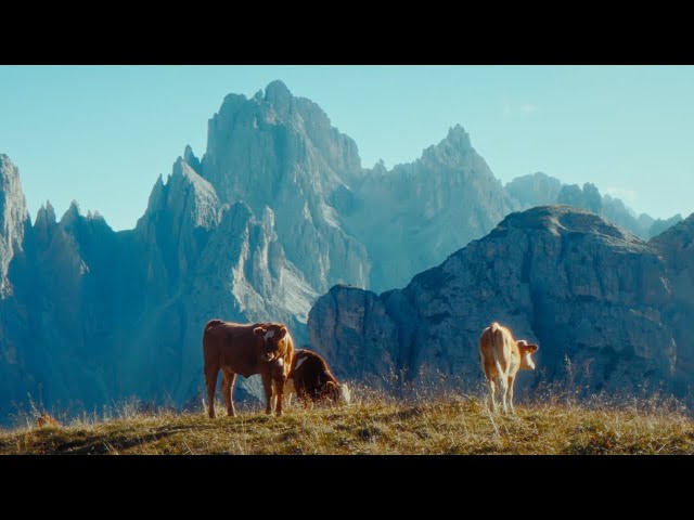 Dolomites — The Alps of Italy | Cinematic Travel Film | Sony A7SIII