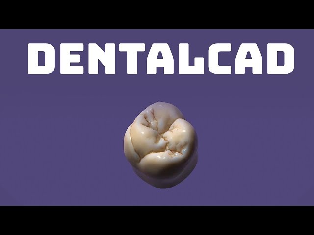 exocad DentalCAD Software | Powerful 3D CAD Design Software for Dental Labs