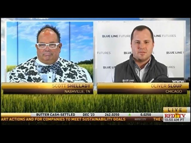 Grain and Livestock Market Recap