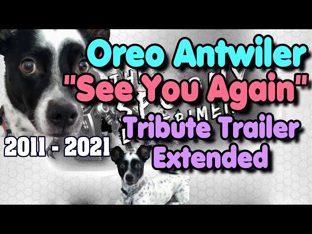 Oreo Antwiler (2011-2021) - "See You Again" Tribute Trailer Extended