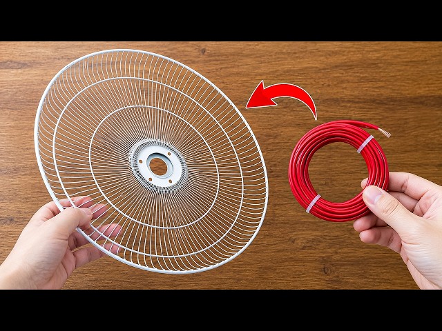 The Shocking fan cages Secret Nobody Ever Told You — Even Experts Can’t Explain This! 😱
