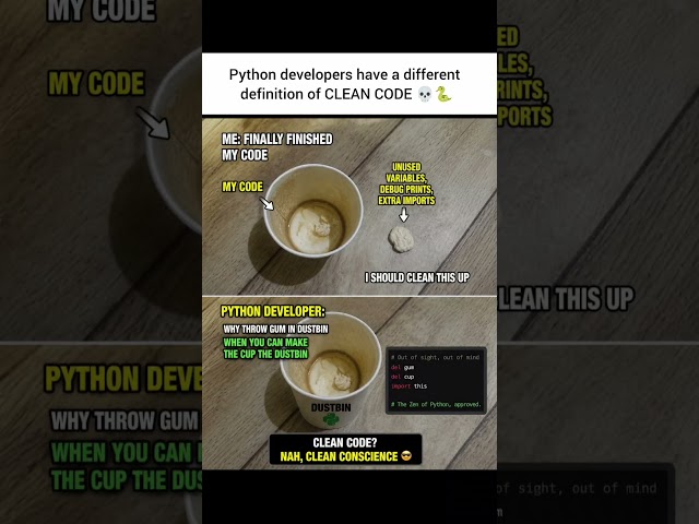Python Developers Have a Different Definition of “Clean Code” 🐍💀 #developer #python #coding #tech