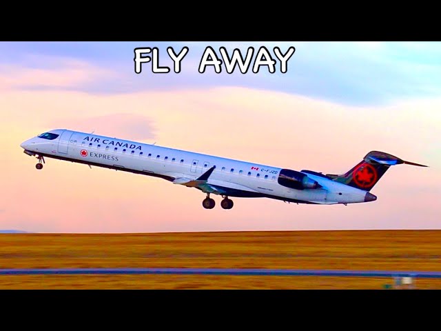 ~Fly Away~ [Airplane Music Video] 2022