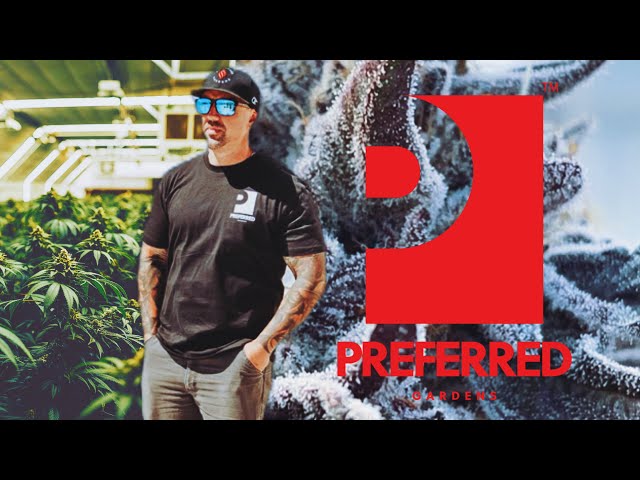 David's Preferred Gardens: Sacramento Cannabis (Mini Documentary)