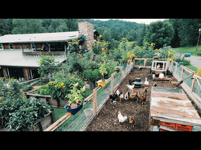 Can a 10-Acre Homestead Actually Feed You? (the Honest truth)
