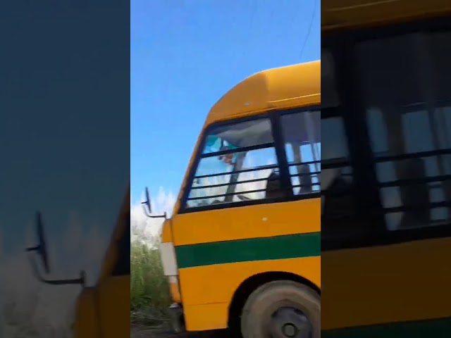 #sunny day#road trip#mountai area #nature #like #subscribe