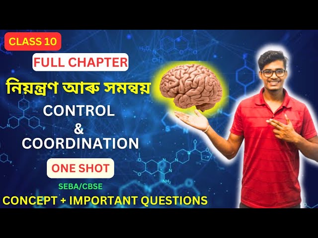 Control and Coordination Class 10 Science in Assamese (CBSE/SEBA) #controlandcoordination #class10