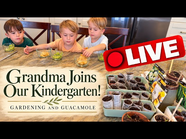 Live Kindergarten | Grandma Joins Today! | Day 3