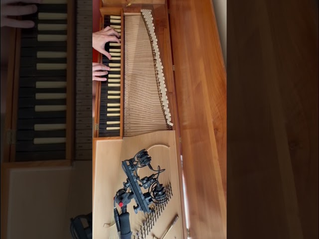 Ocotillo out next week! Ft my great aunts clavichord. Pre-save via link in bio #newmusic #producer