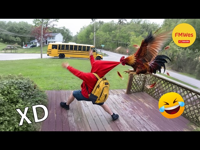Funny Videos 🤣 If You Laugh You Lose GOD LEVEL #866 😎 Mexican Viral Humor 🤣