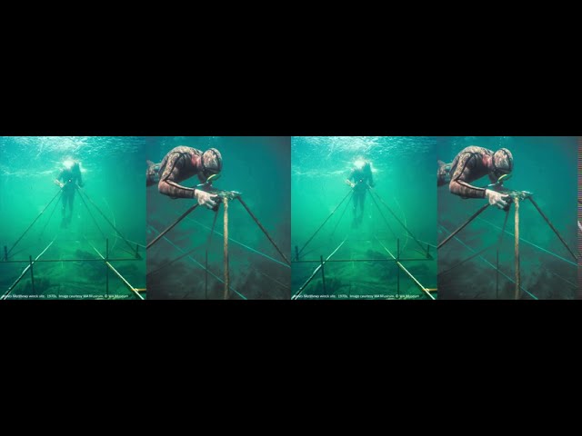 SD&A 2020: Processing legacy underwater stereophotography for new applications
