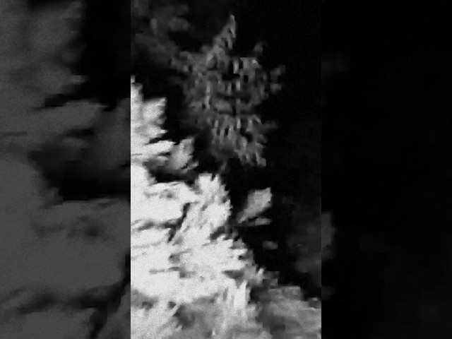 LURKER | Short Horror Film. Shot on VHS. No AI.  #film #horrorfilm #independentartist #scarystories