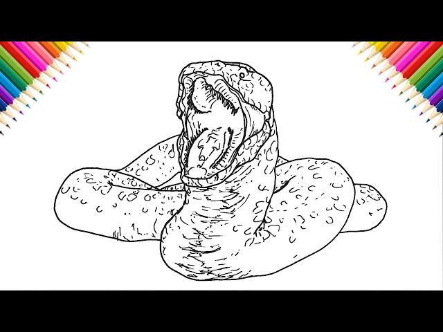 Drawing a Titanoboa - The End Of Oak Street Tutorial