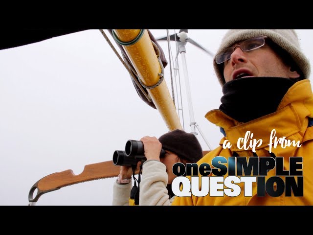 Teaser  - One Simple Question: "Sailing in the Fog"