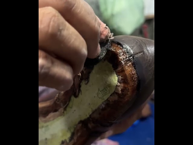 From Literal Trash to Pure Luxury! 💎 (Part 3) #asmr #restoration