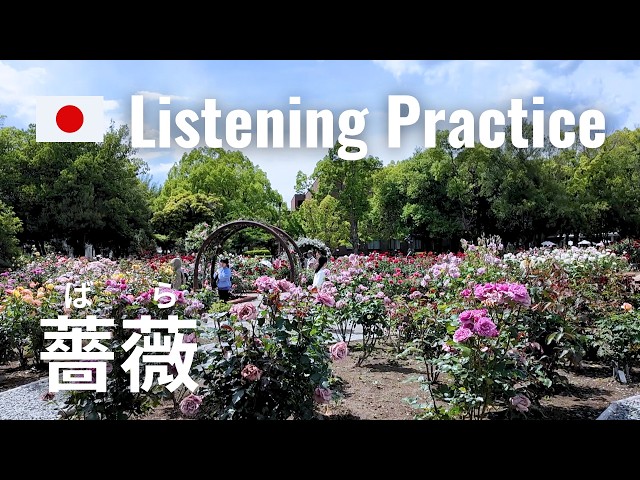 Practicing Katakana pronunciation in a Rose Garden | Japanese Listening Practice