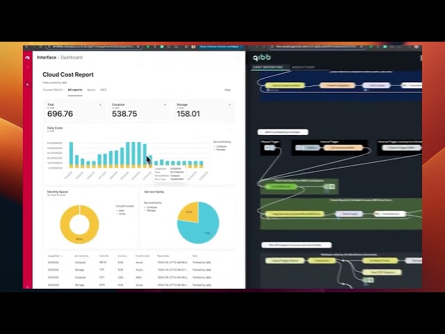 Cloud and SaaS cost visualization with qibb | use case