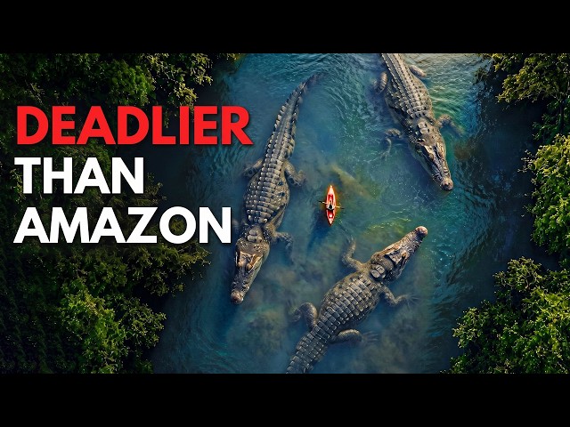 Why The Congo Basin is More Dangerous Than The Amazon