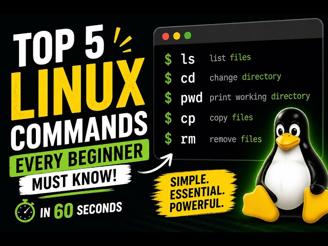 Top 5 Linux Commands You’ll Use Daily