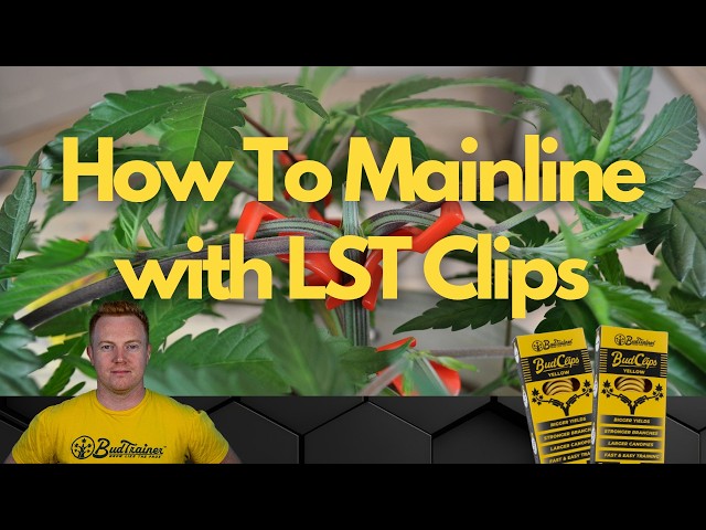 How to Mainline