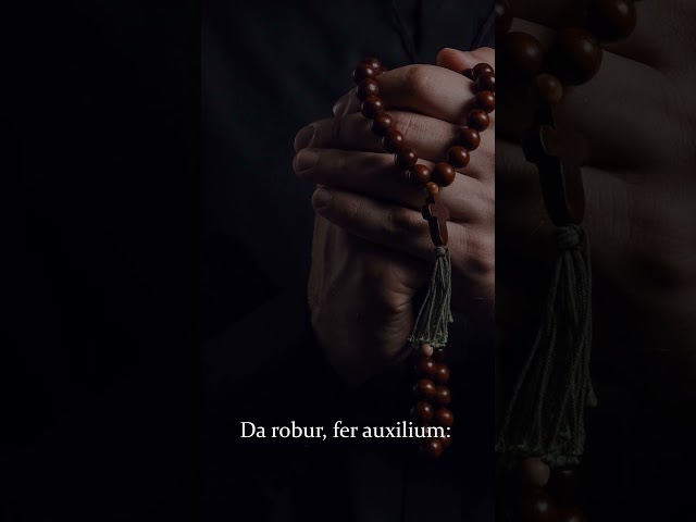 O Salutaris Hostia (O Saving Victim) | Traditional Latin Hymn | Catholic Lent Song | Choir w/ Lyrics