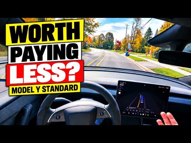 Should You Buy the Cheapest Tesla Model Y? My Honest Take After 1,000 km - Model Y Standard