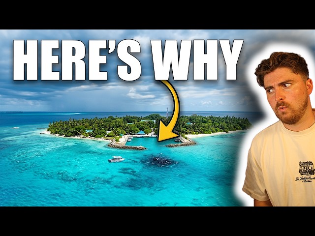 Tiger Sharks Have Taken Over This Island (Because Of Us)