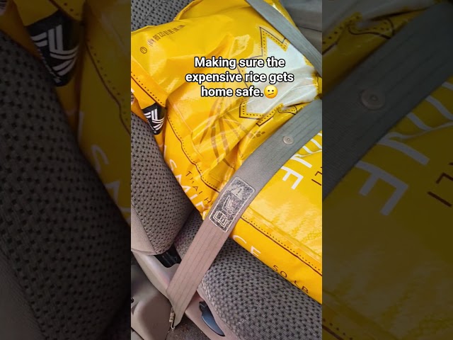 Making sure my expensive rice gets home safe.
