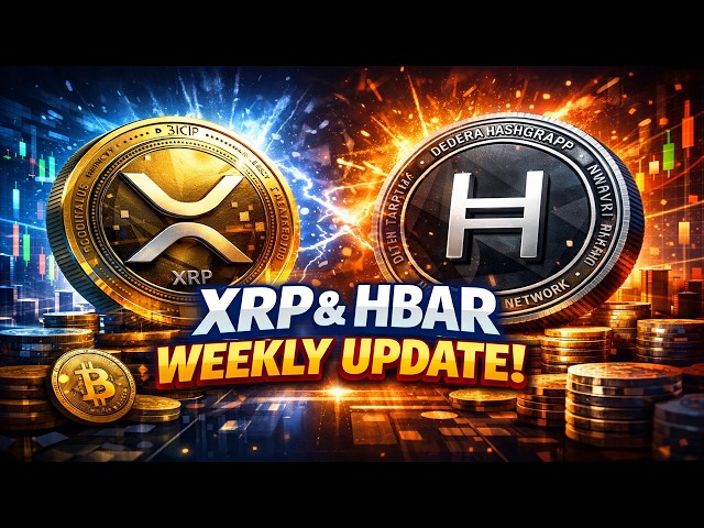 XRP & HBAR Weekly Update (September 27th)