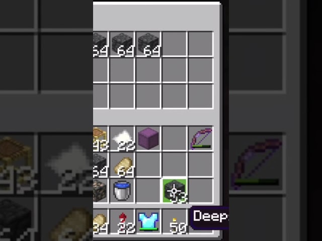 Bugcraft at its Finest #minecraft
