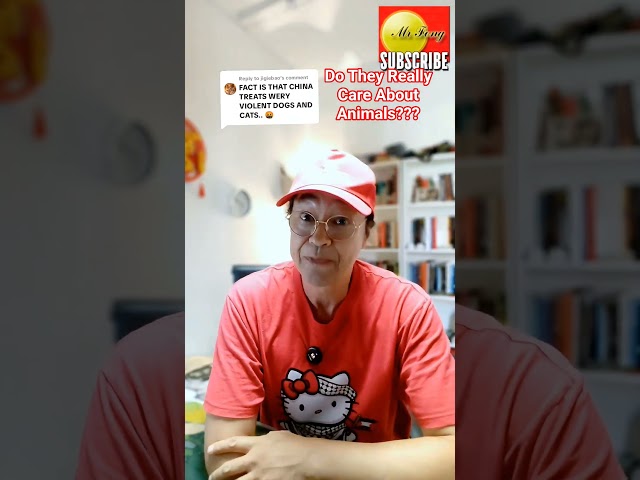Only Outraged When It Concerns China 🇨🇳🤷⁉️ #china #commentary #wangwang #dog #netherlands