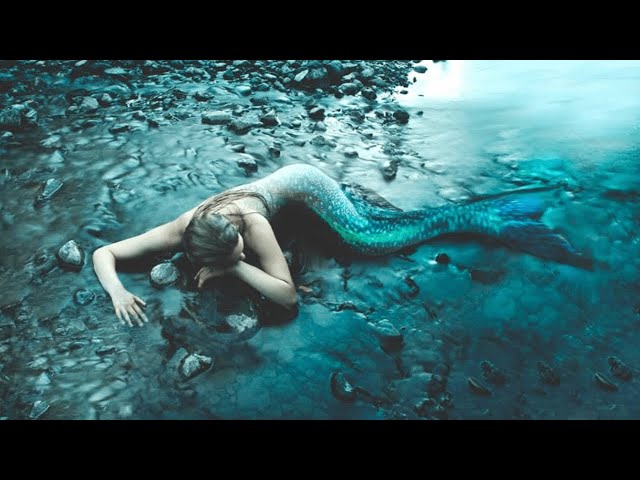 splash [1984] movie explained in bangla | Jalpori movie in brief | Hollywood action movie bangla ...
