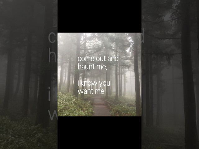 apocalypse (live - pt. 2) lyric video 🩶 #lyrics #cigarettesaftersex #sombr
