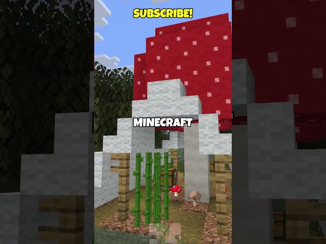 NEW UPDATE NAME REVEALED! #minecraft #minecraftbedrock #mcpe
